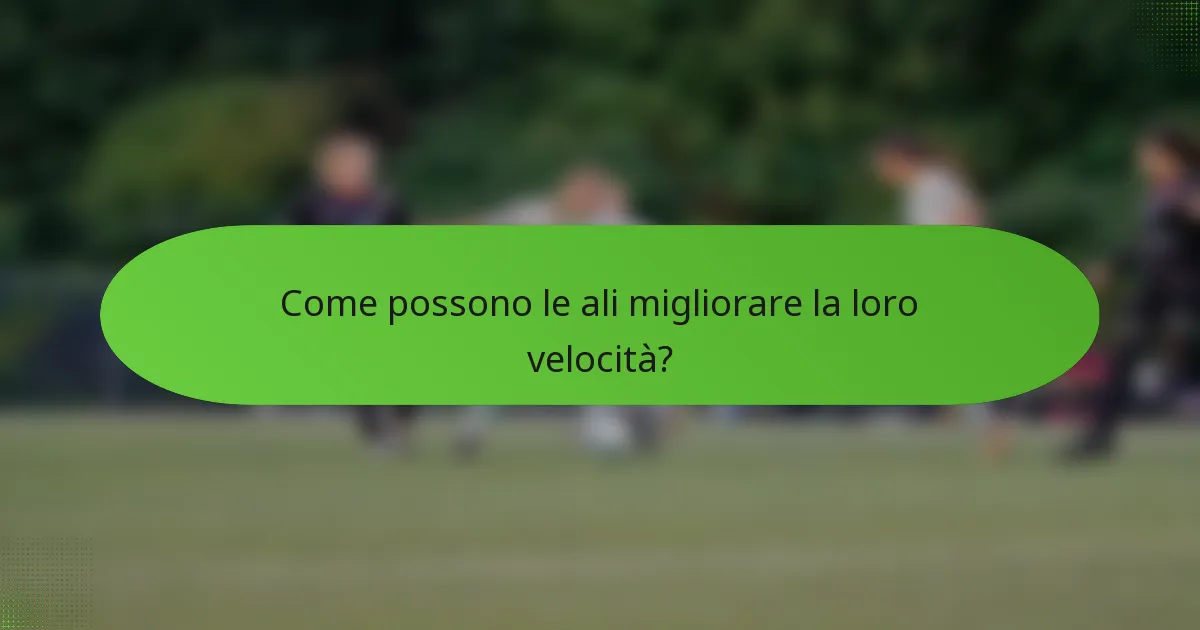 Come possono le ali migliorare la loro velocità?